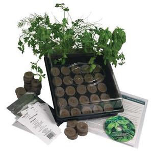 Indoor Culinary Herb Garden Starter Kit